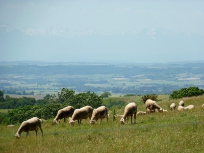 Environs de Cennes-Monestiés